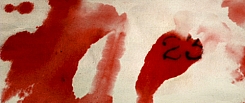 The Number 23 The Number 23