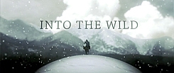 Into The Wild (unofficial)
