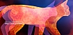 Cats and Dogs: The Revenge of Kitty Galore