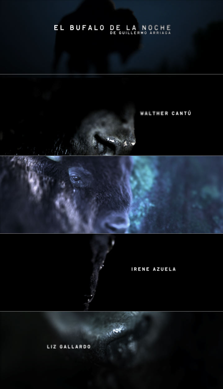 El Búfalo de la Noche, title sequence (stills)